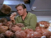 Kirk and about one million tribbles