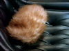 Tribble in chair